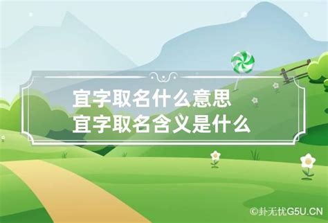 宜 名字 意思|宜字取名的含义是什么